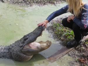 Diego and the male alligator