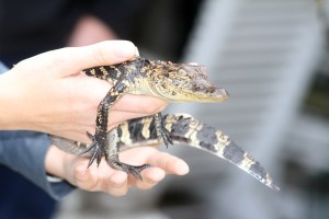 These guys were already 2 1/2 years old! They were so little!