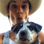 My Hiatus & Newly Created Video Blogs