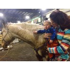 Klamath Falls Bull Sale