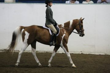 10309659_10206021208794363_8412393557068795993_n