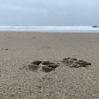 The Accidental Entrepreneur